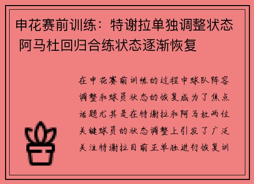 申花赛前训练：特谢拉单独调整状态 阿马杜回归合练状态逐渐恢复