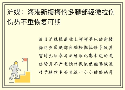 沪媒:海港新援梅伦多腿部轻微拉伤伤势不重恢复可期